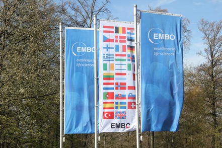 EMBO: Μπήκαμε στο “CERN” της Μοριακής Βιολογίας | Vasiliki Michopoulou Blog